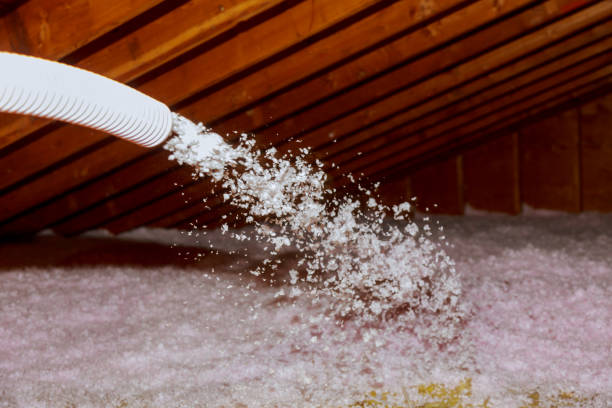 Best Insulation Installation Services in San Anselmo, CA