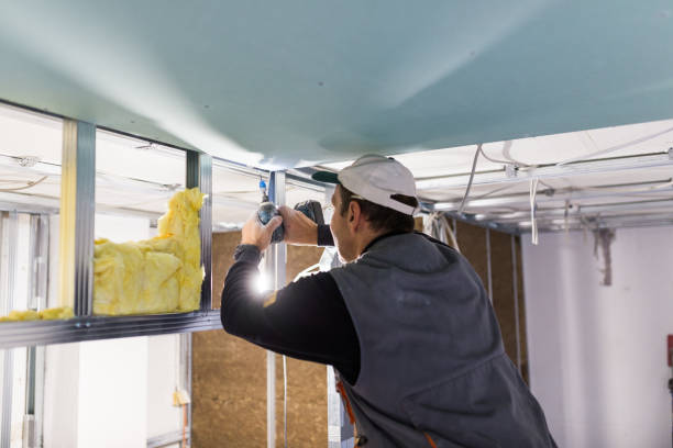 Best Insulation Maintenance and Repair in San Anselmo, CA