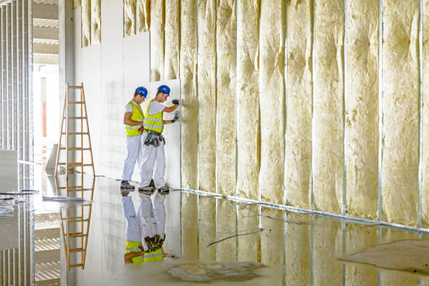 Best Insulation Maintenance and Repair in San Anselmo, CA